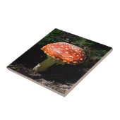 Central Cascades, staat Washington Tegeltje (Zijkant)