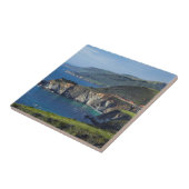 Central Coast California Tegeltje (Zijkant)