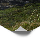 Central Coast Californië Poster (Hoek)