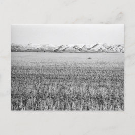 Central Oregon, benoorden Maupin (briefkaart) Briefkaart