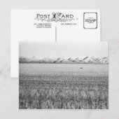 Central Oregon, benoorden Maupin (briefkaart) Briefkaart (Voorkant / Achterkant)