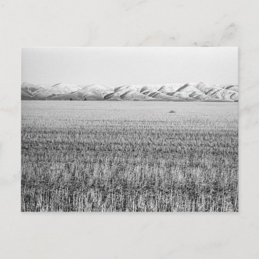 Central Oregon, benoorden Maupin (briefkaart) Briefkaart (Voorkant)