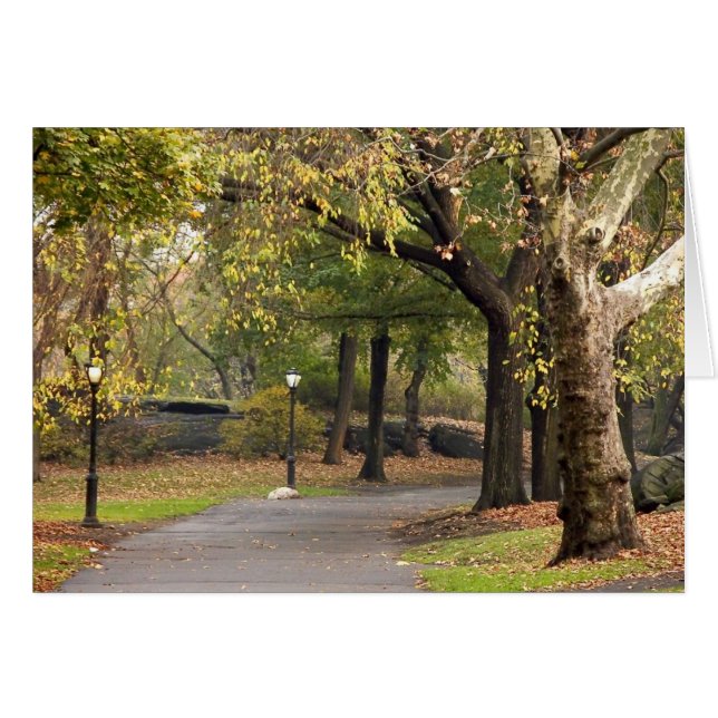 Central Park (Voorkant Horizontaal)