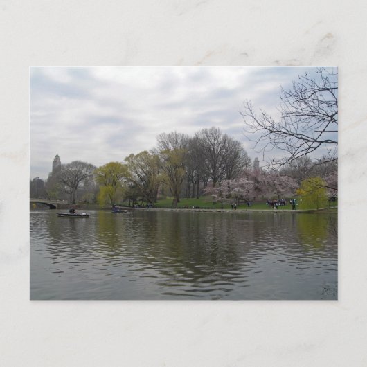 Central Park 001 Briefkaart (Voorkant)