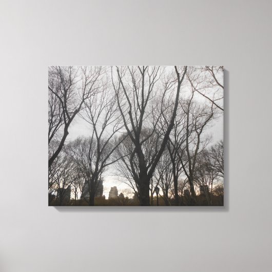 Central Park-1 Canvas Afdruk (Voorkant)
