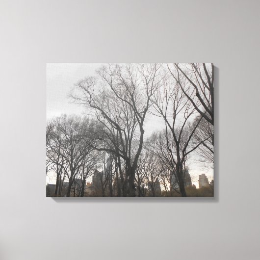 Central Park-2 Canvas Afdruk (Voorkant)