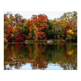 Central Park Autumn Herfst Landscape Foto Foto Afdruk