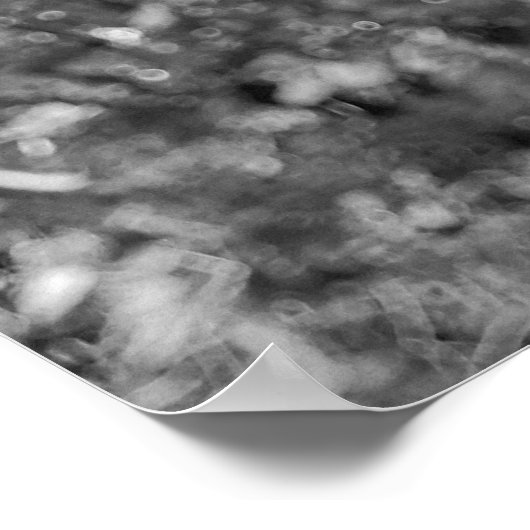 Central Park Autumn: Romeo & Juliet Statue 01 B&W Poster (Hoek)