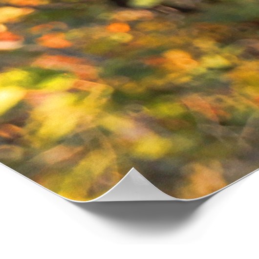 Central Park Autumn: Romeo & Juliet Statue 01 Poster (Hoek)