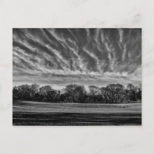 Central Park Black & White Landscape Photo Briefkaart