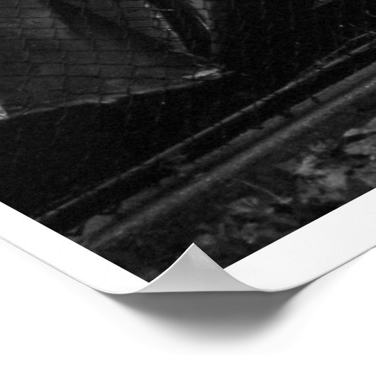 Central Park Boats Poster (Hoek)