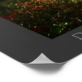 Central Park - Bow Bridge - New York City Poster (Hoek)