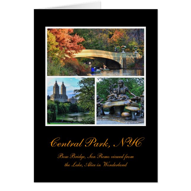 Central Park: Bow Bridge, San Remo, Alice in W.... (Voorkant)