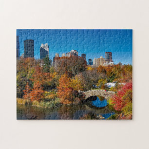 Central Park Bridge Legpuzzel