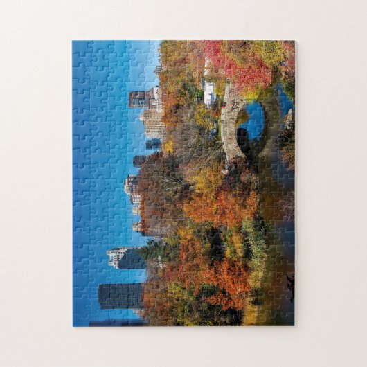 Central Park Bridge Legpuzzel (Verticaal)