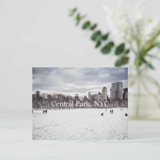 Central Park Briefkaart (Staand voorkant)