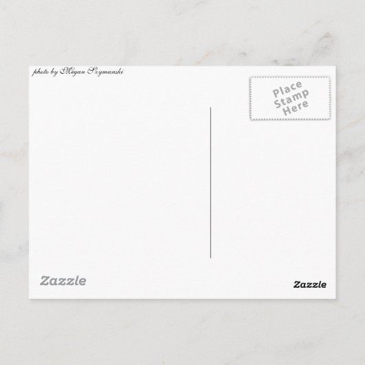 Central Park Briefkaart (Achterkant)