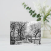 Central Park briefkaarten (Staand voorkant)