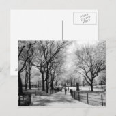 Central Park briefkaarten (Voorkant / Achterkant)