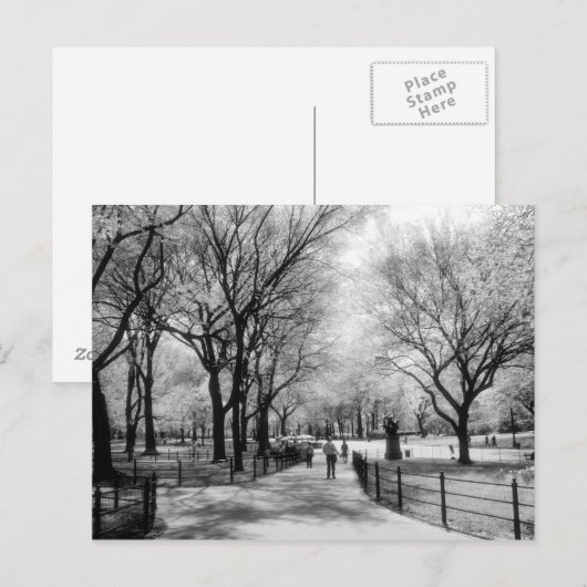 Central Park briefkaarten (Voorkant / Achterkant)