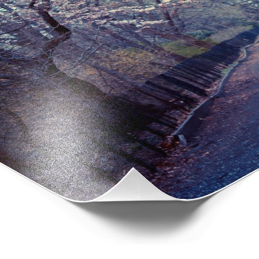 Central Park Cherry Blossom Path Foto Afdruk (Hoek)