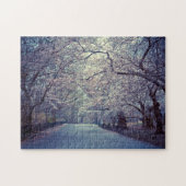 Central Park Cherry Blossom Path Legpuzzel (Horizontaal)