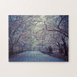 Central Park Cherry Blossom Path Legpuzzel