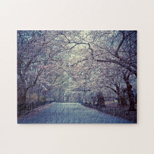 Central Park Cherry Blossom Path Legpuzzel (Horizontaal)