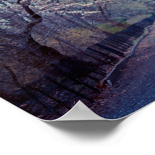 Central Park Cherry Blossom Path Poster (Hoek)
