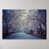 Central Park Cherry Blossom Path Poster (Voorkant)