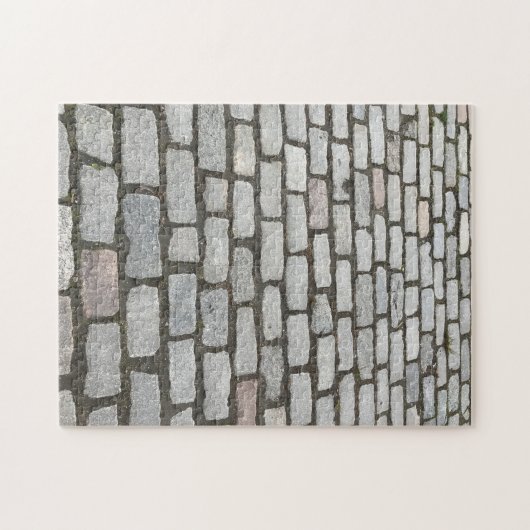 Central Park Cobblestone Stone Pathway NYC Foto Legpuzzel (Horizontaal)