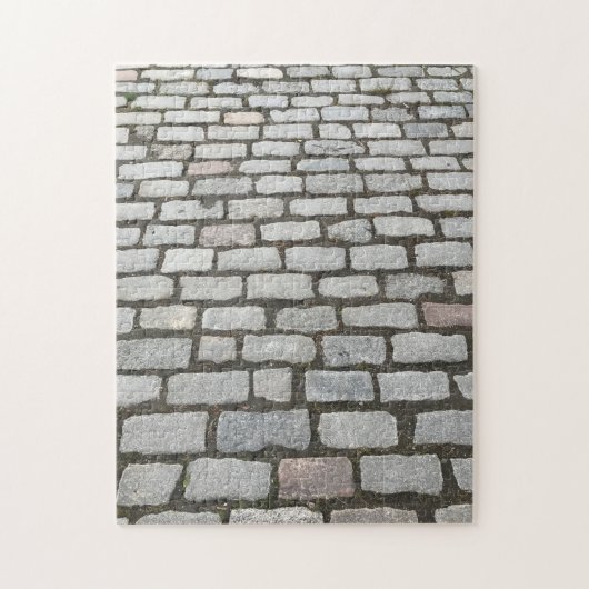 Central Park Cobblestone Stone Pathway NYC Foto Legpuzzel (Verticaal)