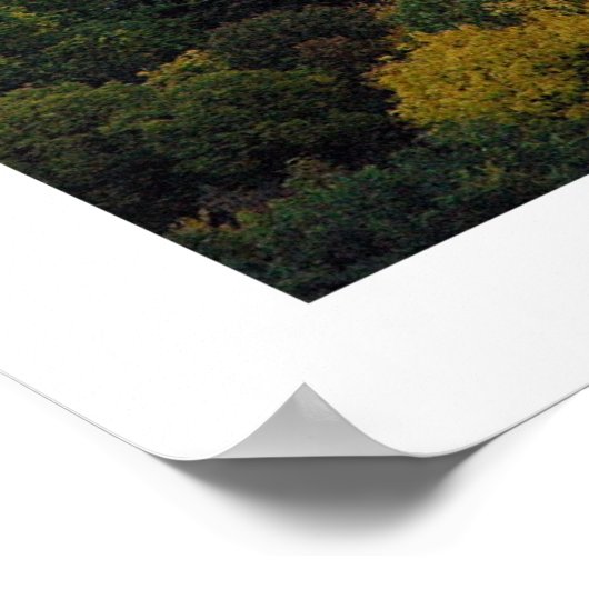 Central Park Herfst Poster (Hoek)