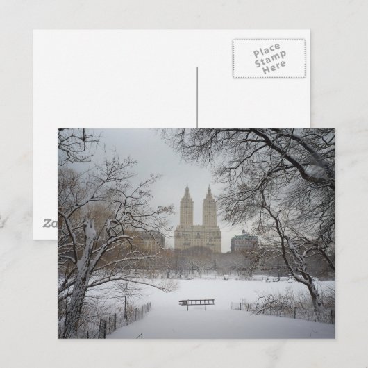 Central Park in de sneeuw, New York Briefkaart (Voorkant / Achterkant)
