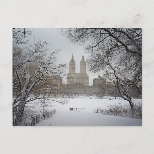 Central Park in de sneeuw, New York Briefkaart (Voorkant)
