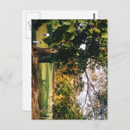 Central Park in het najaar Briefkaart (Voorkant / Achterkant)