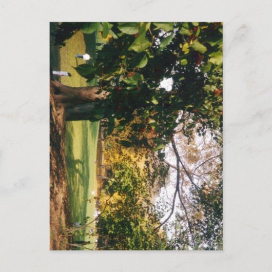 Central Park in het najaar Briefkaart (Voorkant)