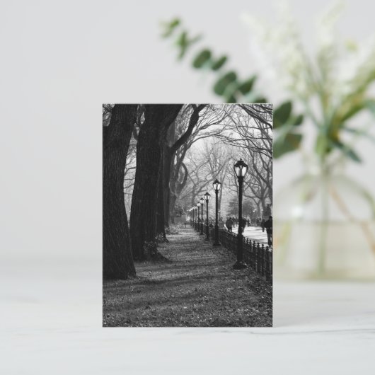 Central Park in New York City Briefkaart (Staand voorkant)