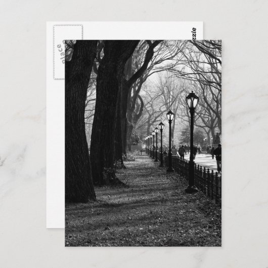 Central Park in New York City Briefkaart (Voorkant / Achterkant)