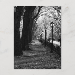 Central Park in New York City Briefkaart