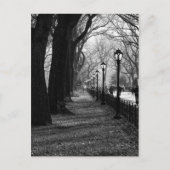 Central Park in New York City Briefkaart (Voorkant)