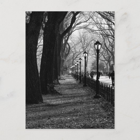 Central Park in New York City Briefkaart (Voorkant)