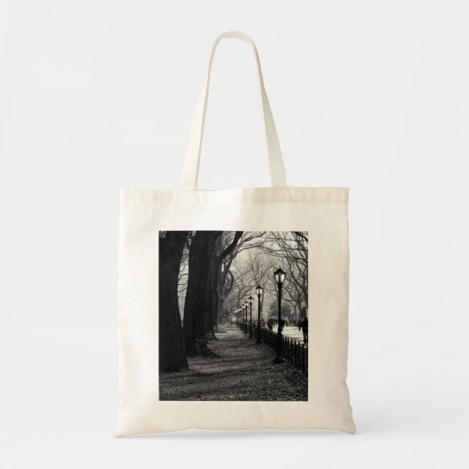 Central Park in New York City Tote Bag (Voorkant)