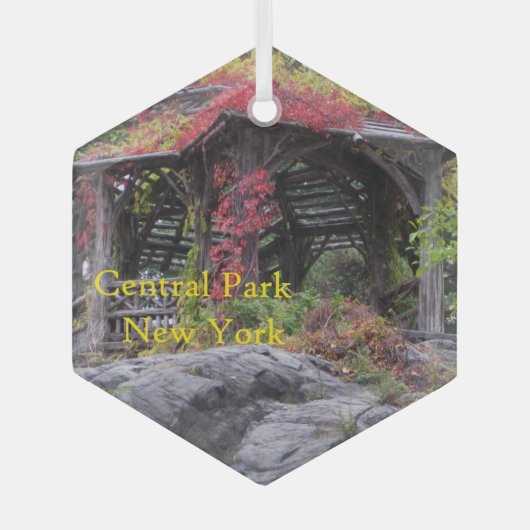 Central Park in New York Glas Ornament (Voorkant)