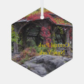 Central Park in New York Glas Ornament (Achterkant)