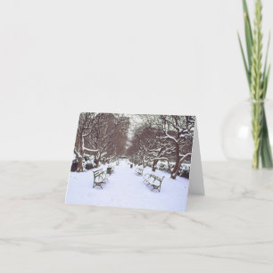 'Central Park in Winter'-feestkaart - Blank Feestdagen Kaart