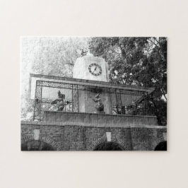 Central Park Jigzaag Puzzle Legpuzzel