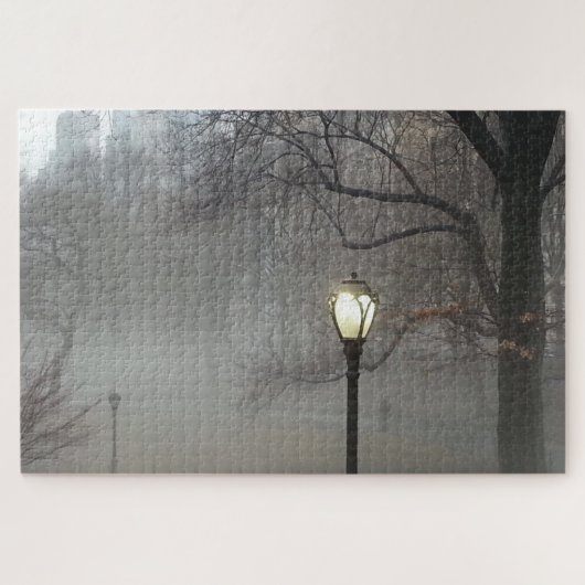 Central Park Lamppost in Winter Fog Legpuzzel (Horizontaal)