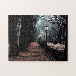 Central Park Landscape Lamppost Foto Legpuzzel