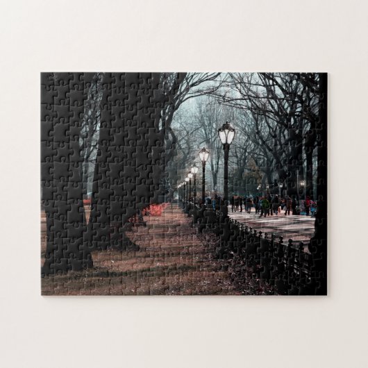 Central Park Landscape Lamppost Foto Legpuzzel (Horizontaal)